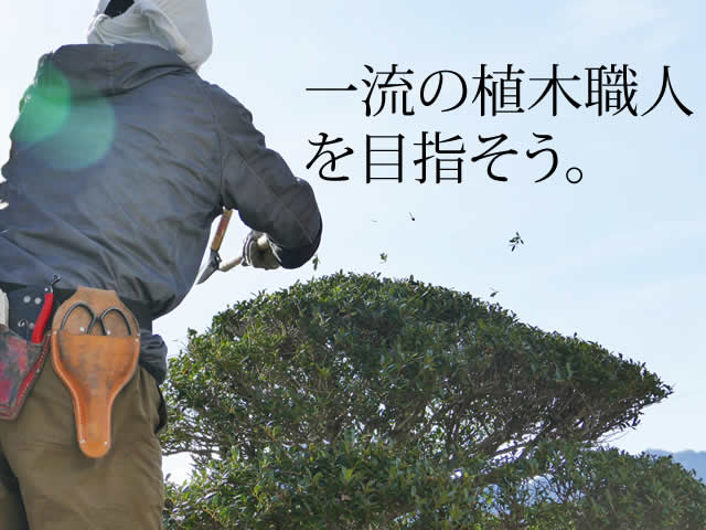 【造園工 求人募集】-大阪府茨木市- 植木や緑に興味ある方なら経験や年齢は不問です!