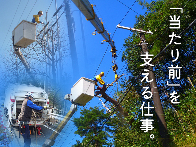 【伐採作業スタッフ　求人募集】-大阪市西淀川区-　インフラ工事だからこその安定とやりがいあります!