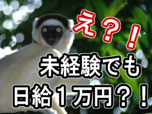 【現場作業員 求人募集】-大阪市生野区-　未経験から手に職を!働き易さが自慢です☆経験者優遇!