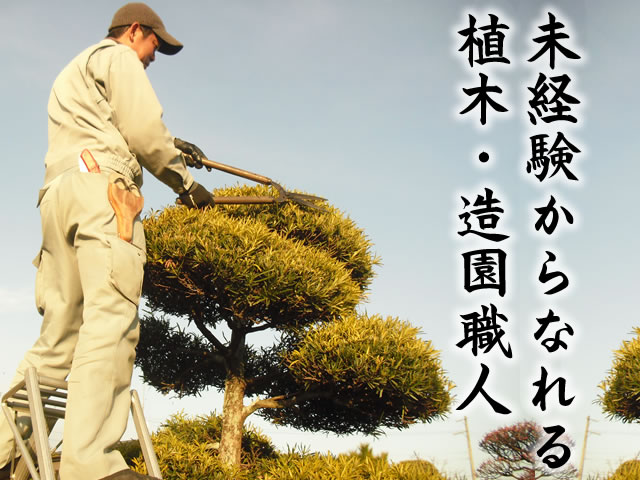 【造園工 求人募集】-大阪府泉佐野市-　経験がなくても一人前の造園工として成長していけます!