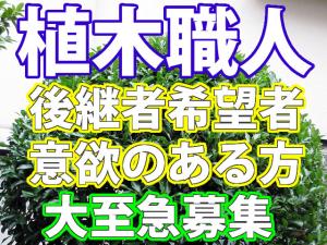 【植木職人 求人募集】‐摂津市‐後継者希望の方大歓迎☆未経験でも意欲と向上心があれば大歓迎!!土・日休みでプライベートも充実