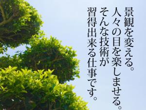 【造園工 求人募集】-堺市中区- 造園工事でなくても現場経験ある方優遇!